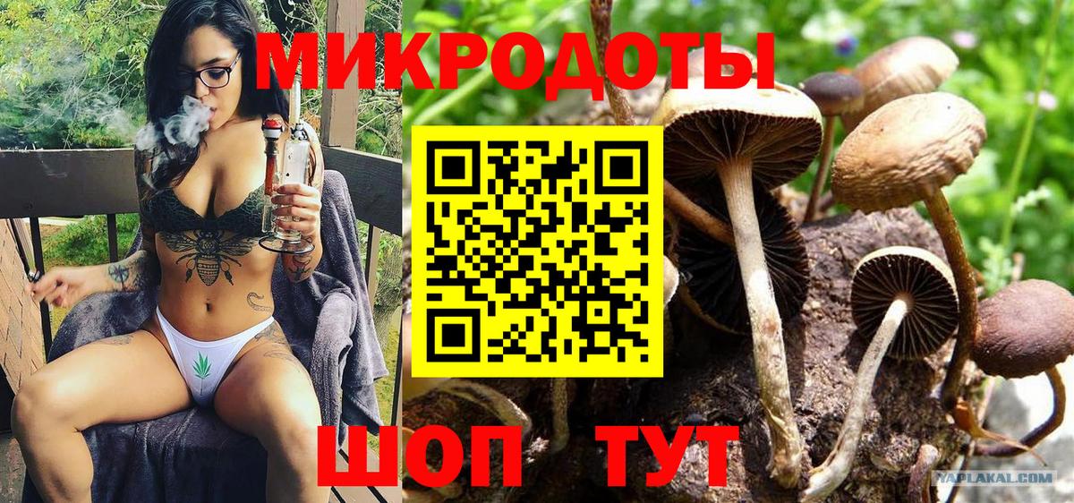 наркотики  Псилоцибиновые грибы Cubensis  Псилоцибиновые грибы Cubensis  Вход с VPN  Кушва 